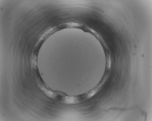 X0000087700766200706011744