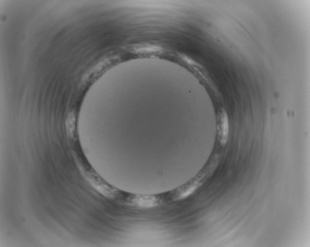 X0000087700767200706011745