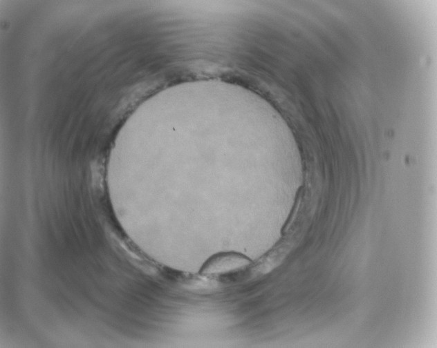 X0000087700768200706011745