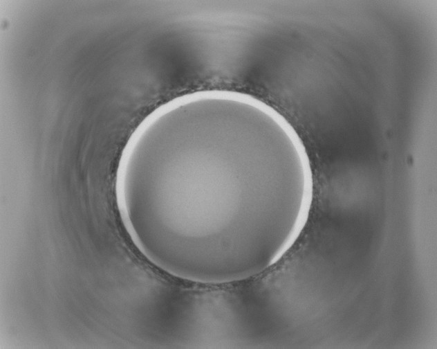 X0000087700769200706011744