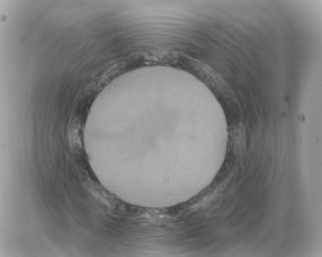 X0000087700770200706011744