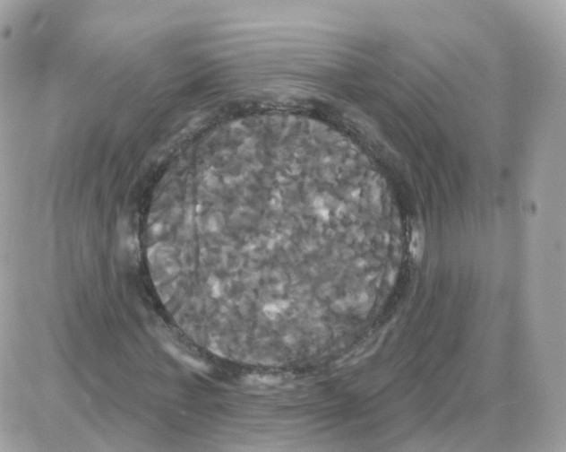 X0000087700771200706011744