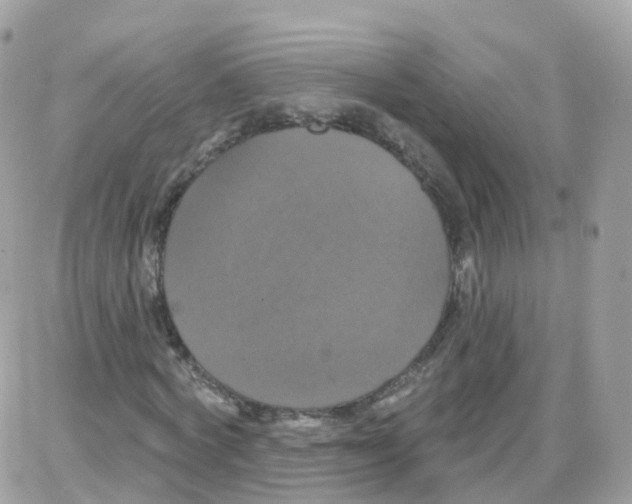 X0000087700772200706011744