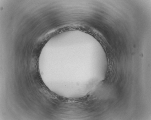 X0000087700773200706011744