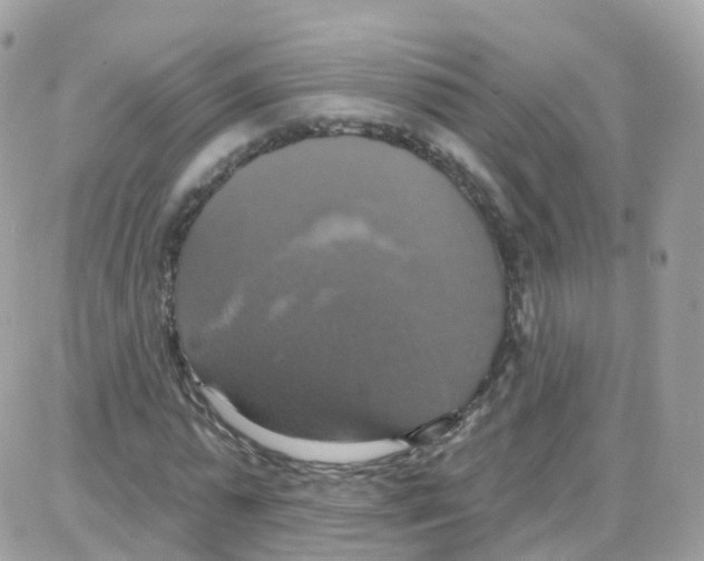 X0000087700775200706011744