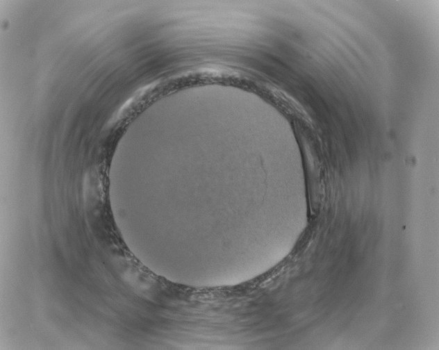 X0000087700776200706011744