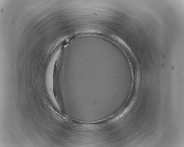 X0000087700777200706011744