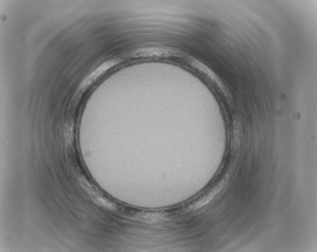 X0000087700778200706011744