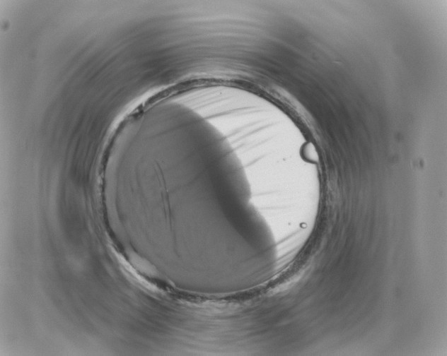 X0000087700779200706011744