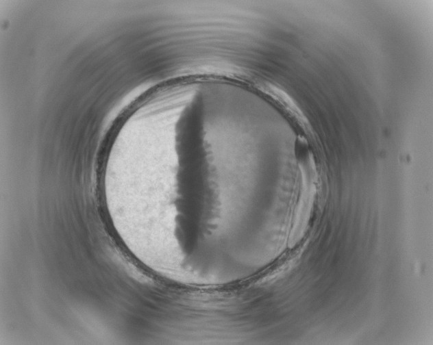 X0000087700780200706011744