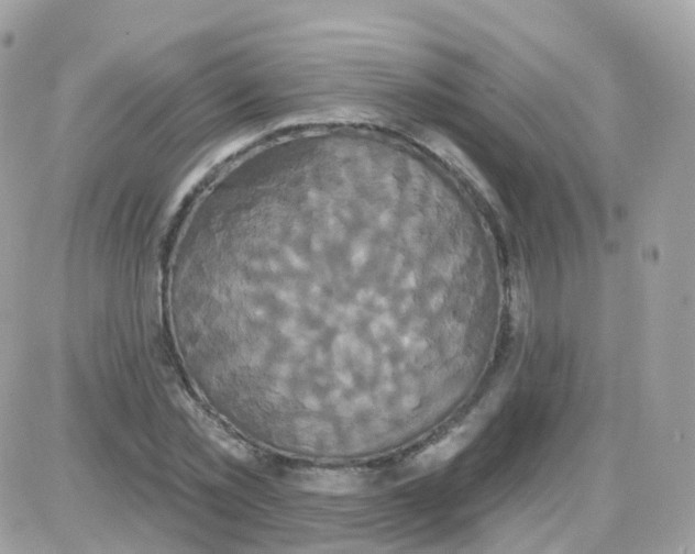 X0000087700781200706011744