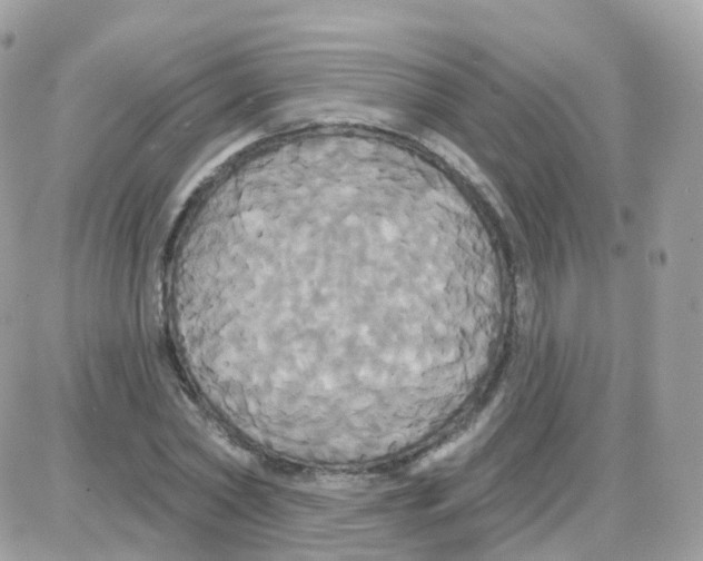 X0000087700782200706011744