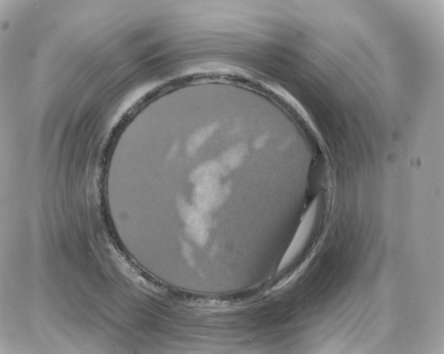 X0000087700783200706011744