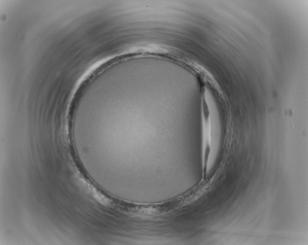 X0000087700784200706011743