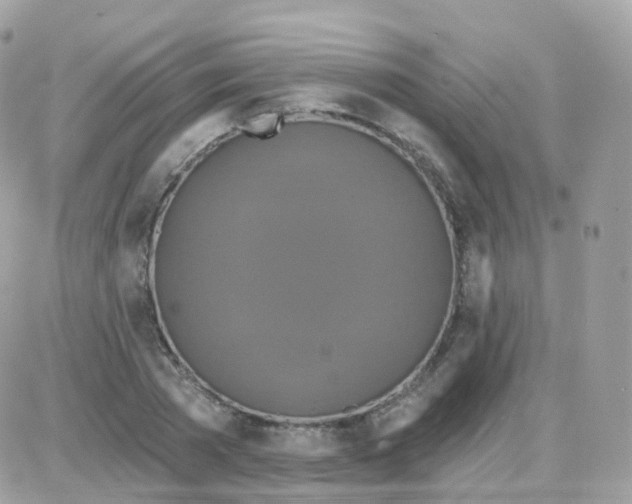 X0000087700785200706011743