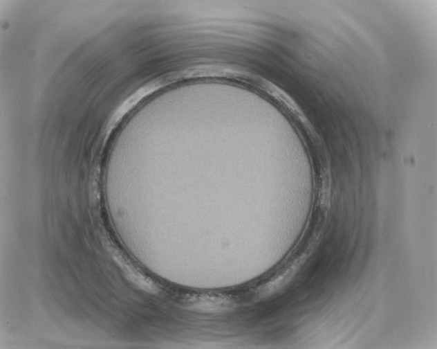 X0000087700786200706011743