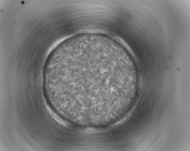 X0000087700787200706011743