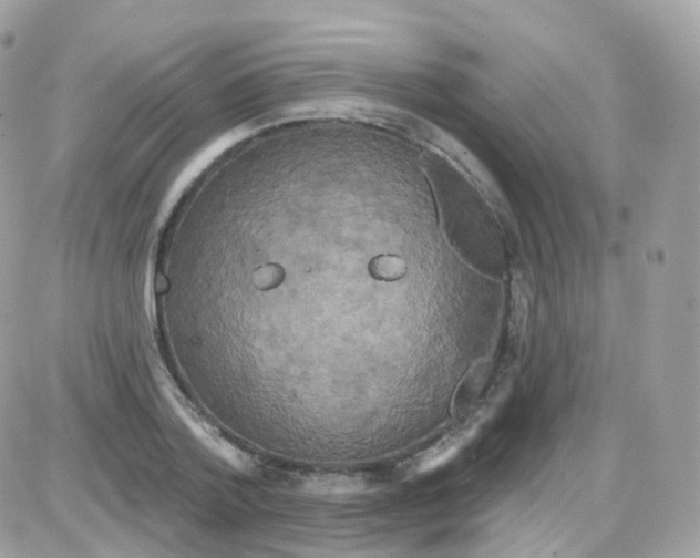 X0000087700788200706011743