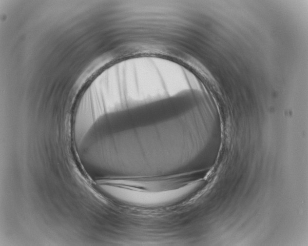 X0000087700790200706011743