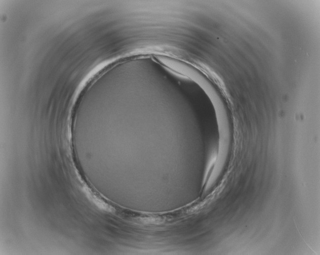 X0000087700792200706011743