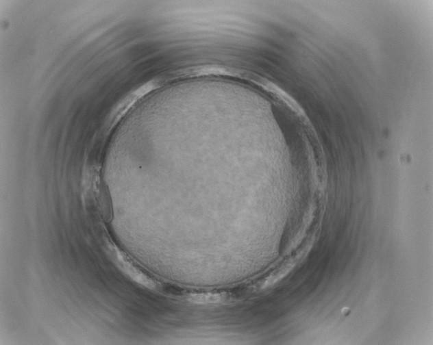 X0000087700793200706011743