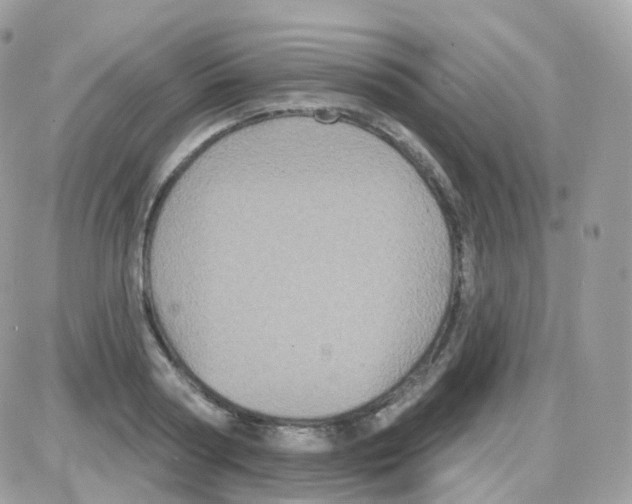 X0000087700794200706011743