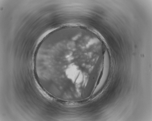 X0000087700795200706011743