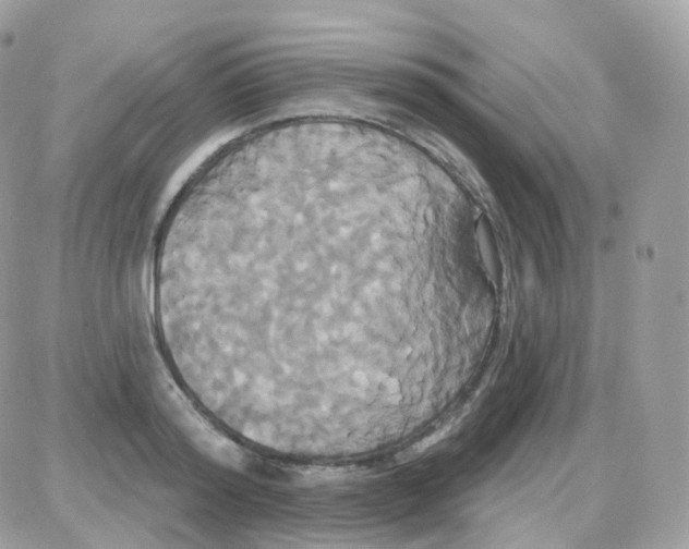 X0000087700796200706011743