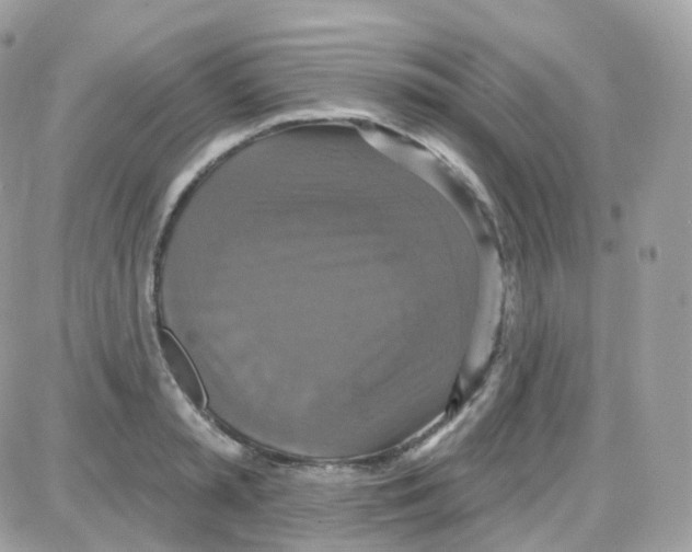 X0000087700797200706011743