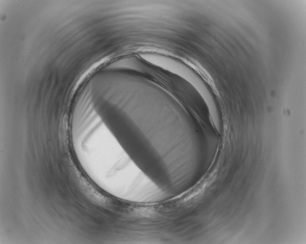 X0000087700798200706011743