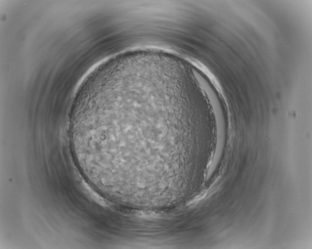 X0000087700799200706011743