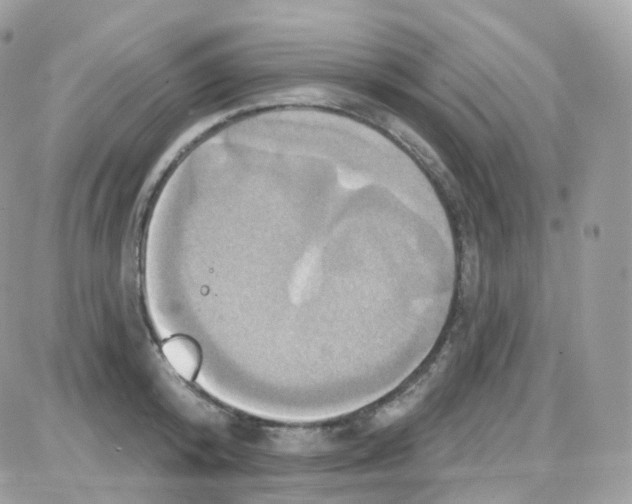 X0000087700800200706011743