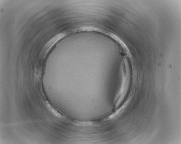 X0000087700801200706011743