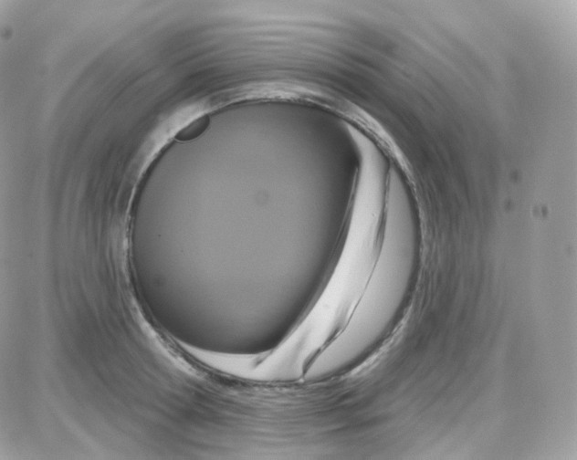 X0000087700802200706011743