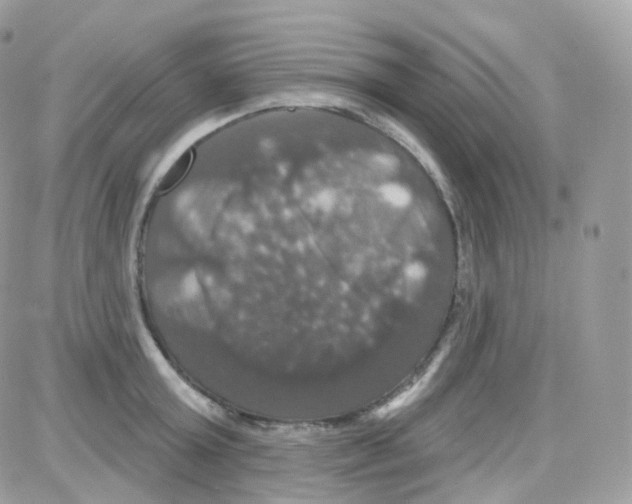 X0000087700803200706011743