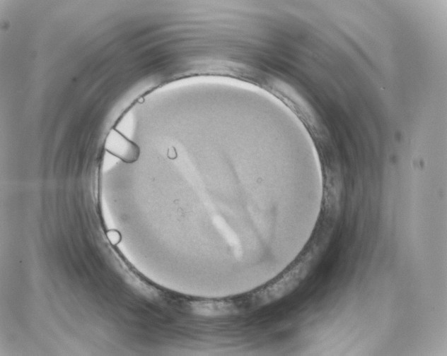 X0000087700804200706011743