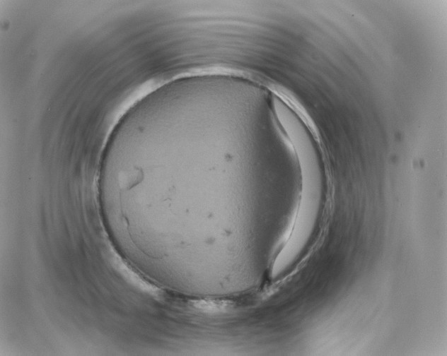 X0000087700805200706011743