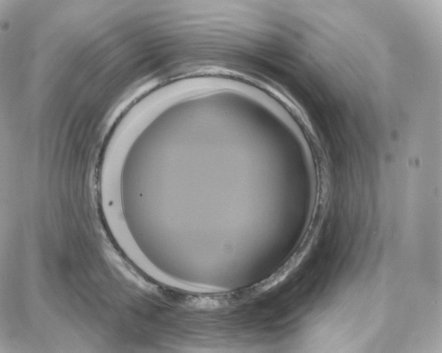 X0000087700806200706011743