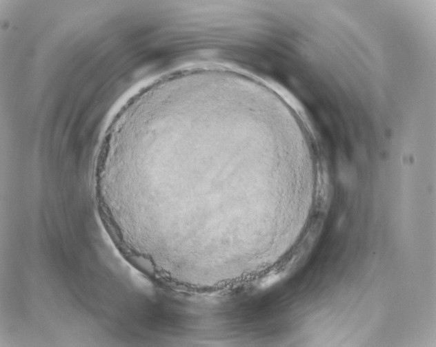 X0000087700807200706011743