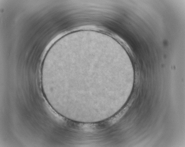 X0000087700808200706011743