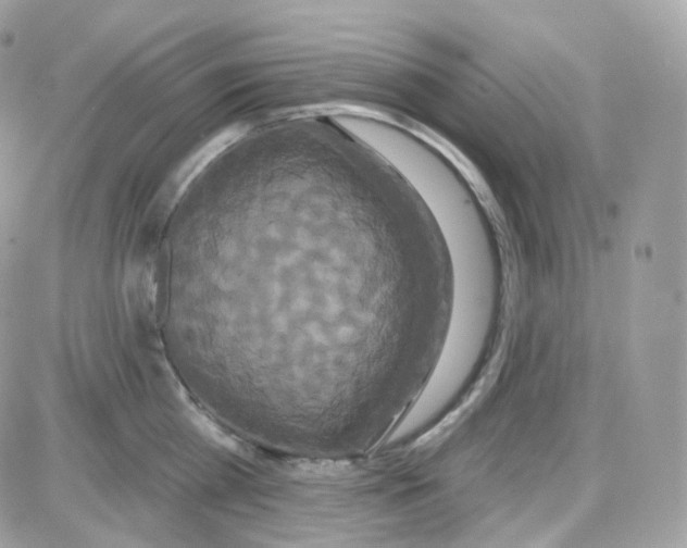 X0000087700809200706011743