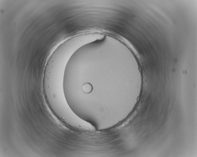 X0000087700810200706011743