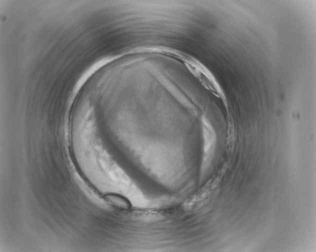 X0000087700811200706011743