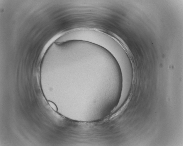 X0000087700812200706011743