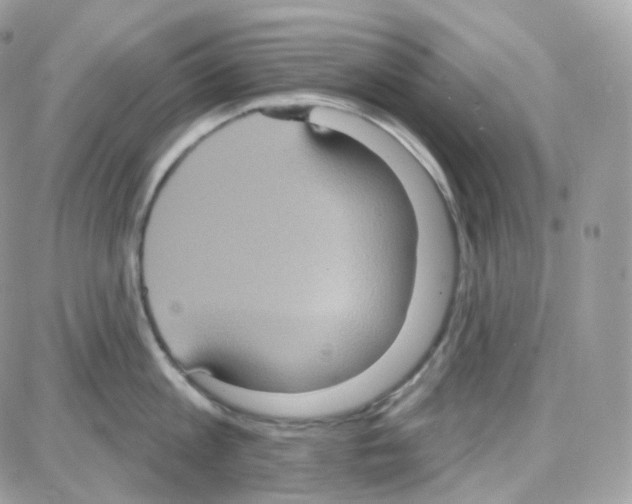 X0000087700813200706011743