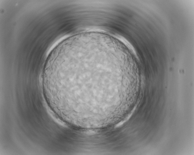 X0000087700814200706011743