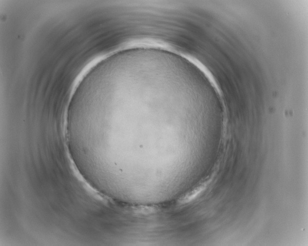 X0000087700815200706011743