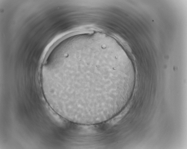 X0000087700816200706011743