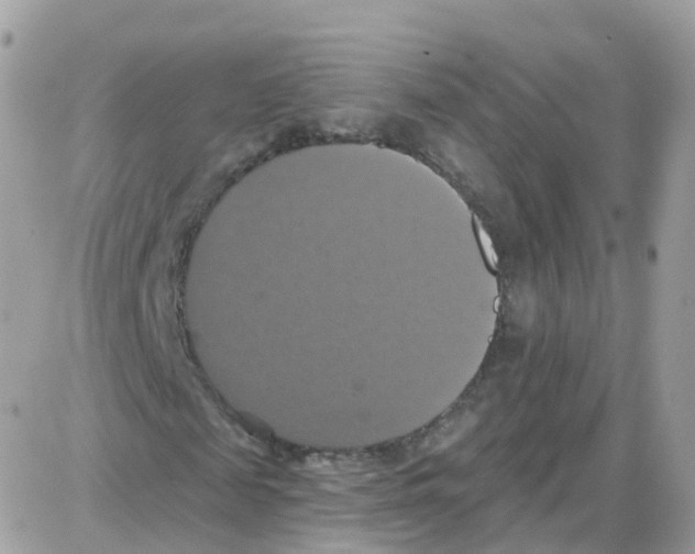 X0000087700817200706011742