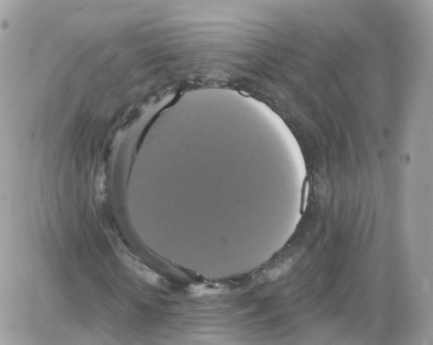 X0000087700818200706011742